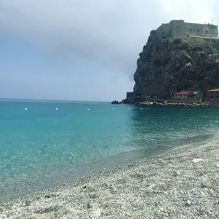 Scilla Sole-2